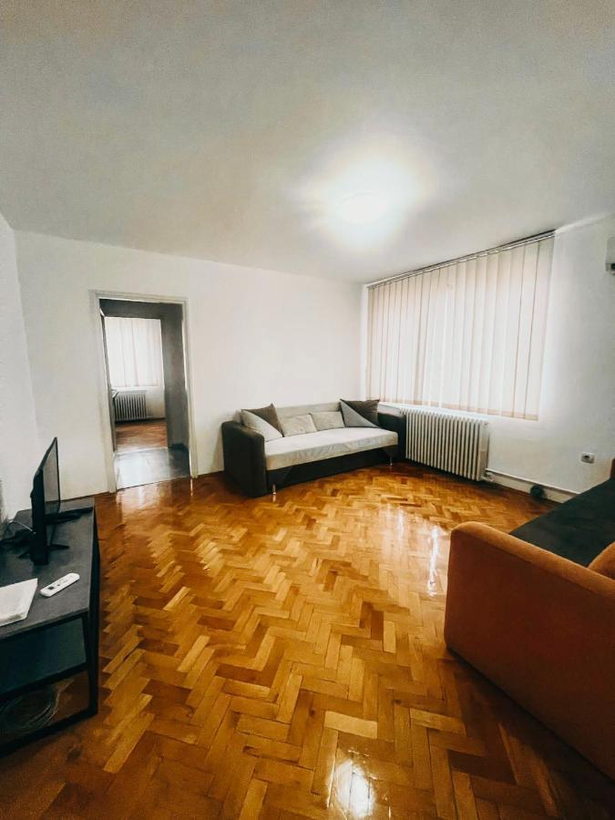 Ultracentral Big Apartment - Near The Opera Square P17 Timisoara Ngoại thất bức ảnh