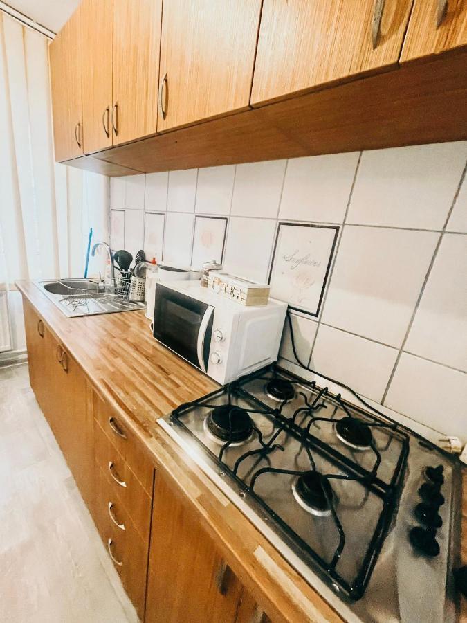 Ultracentral Big Apartment - Near The Opera Square P17 Timisoara Ngoại thất bức ảnh