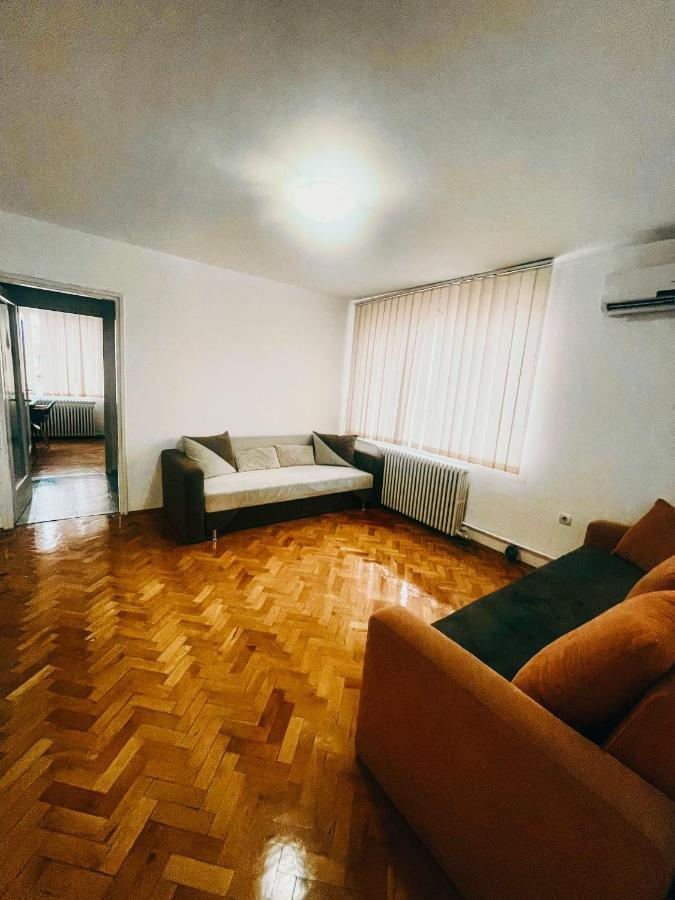 Ultracentral Big Apartment - Near The Opera Square P17 Timisoara Ngoại thất bức ảnh