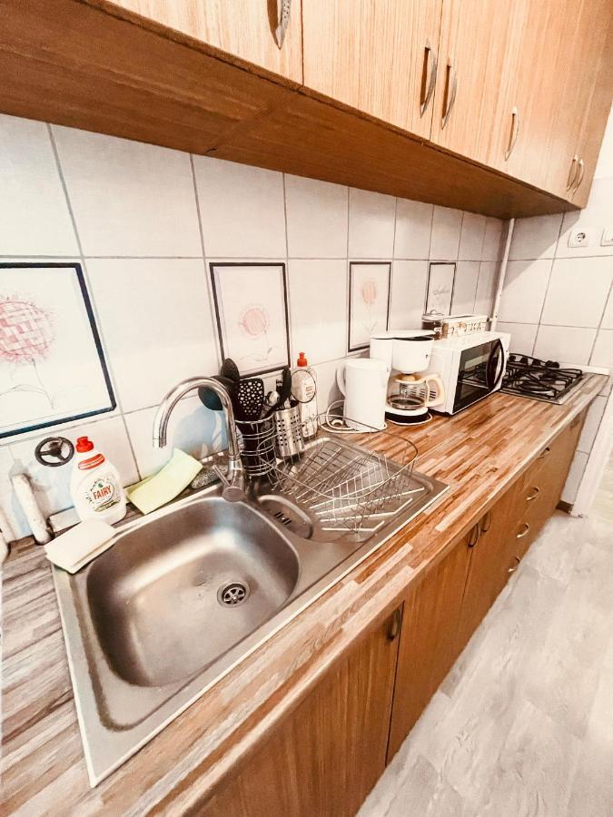 Ultracentral Big Apartment - Near The Opera Square P17 Timisoara Ngoại thất bức ảnh