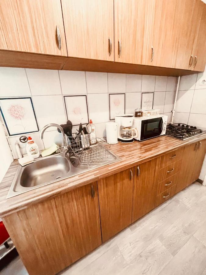 Ultracentral Big Apartment - Near The Opera Square P17 Timisoara Ngoại thất bức ảnh