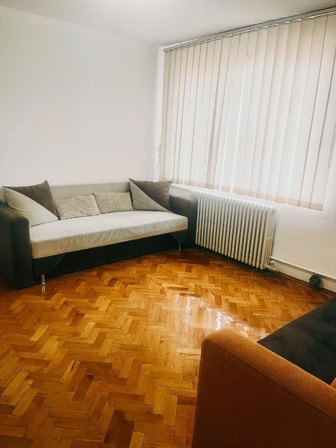 Ultracentral Big Apartment - Near The Opera Square P17 Timisoara Ngoại thất bức ảnh