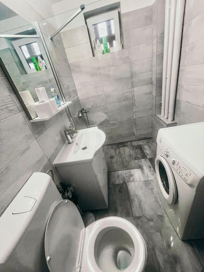Ultracentral Big Apartment - Near The Opera Square P17 Timisoara Ngoại thất bức ảnh
