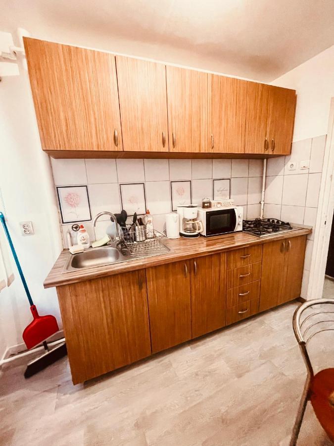 Ultracentral Big Apartment - Near The Opera Square P17 Timisoara Ngoại thất bức ảnh