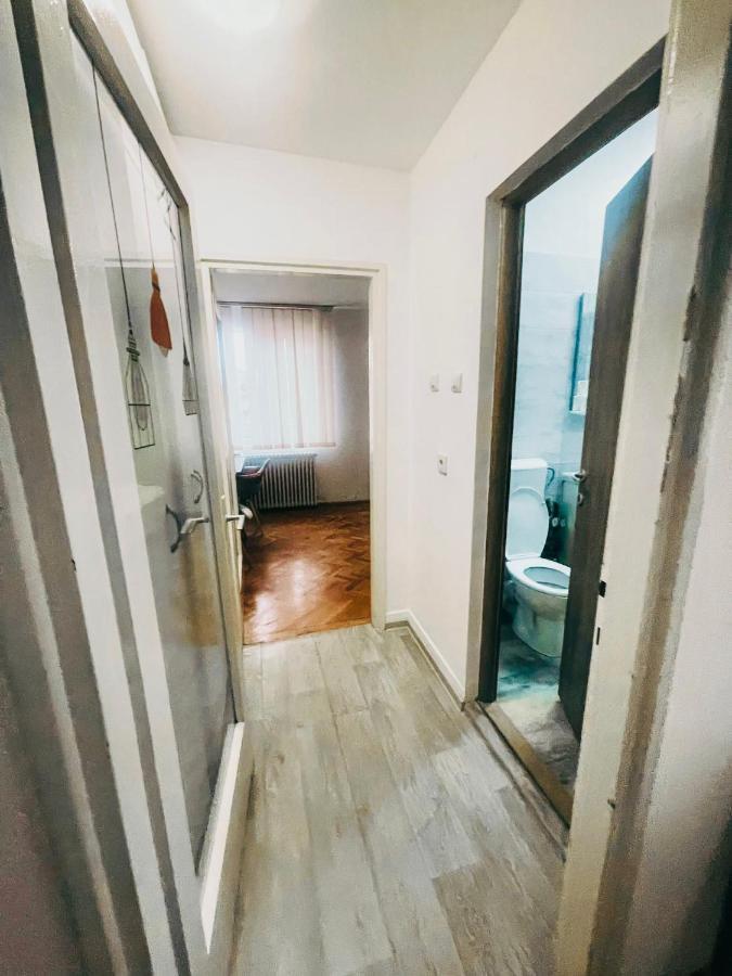 Ultracentral Big Apartment - Near The Opera Square P17 Timisoara Ngoại thất bức ảnh